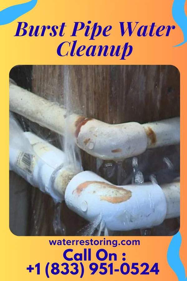 Burst Pipe Water Cleanup in Fennville, MI