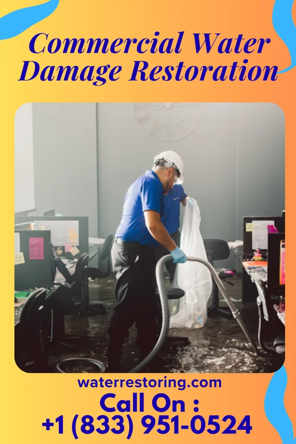 Commercial Water Damage Restoration in Fennville, MI
