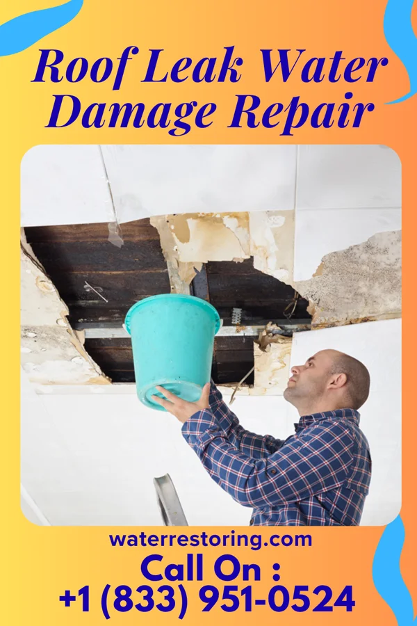Roof Leak Water Damage Repair in Fennville, MI