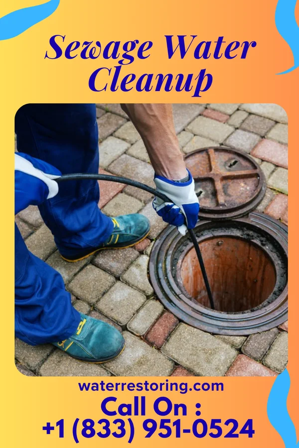 Sewage Water Cleanup in Fennville, MI